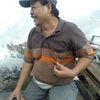 erwinsusanto31