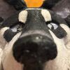 ethan_the_yeen