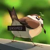 riagadon