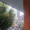 ketua_jokerss