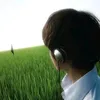 fu