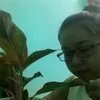 tu.nguyen2046