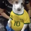 brokoliconkeso