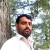 muradgul36