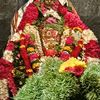 vijaya.lashmi