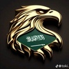 saudi______arab