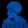 ays_1108