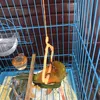 dinhnam_790