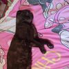 lily...mijnbaby