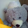 lepetitcon18