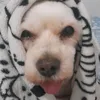 strawwberryricky