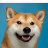 werdgaming9