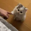 sirop_chik1