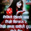 wthhsee