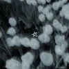 zo2_rd58