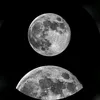 صدقه🌼