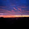 zibi_koss