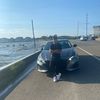 davidlo782