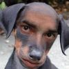 johnnypants5