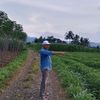 ikasutaryo17