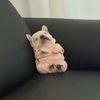 luca.be.farting