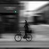 rarely_seen03