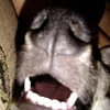 kanimy_