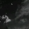 mb_sil