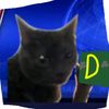 rich.dabloon.cat
