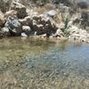 _eduardo916