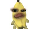 zyziiiaaaa