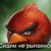 susikgrobovchik545
