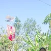tran.hoang.anh492