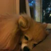 user0qao40ivwu