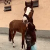 sara_udo09