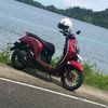 dillskate41