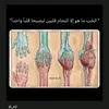 hmed_313_