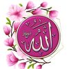 m.hussain.gujjar7