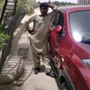 hafeezqureshioffical56
