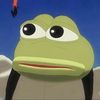 crazyfrog800