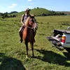 welingtondasilva82