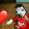 lautarodasilvei52