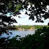 owlofstockholm