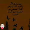 marwa_safae0