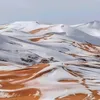 sidalibourenane92