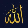 omarmarmoush650