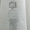 lsa_cop