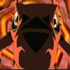 port_jackson.shark