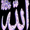 fadel4321