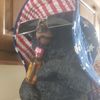 wildman_reid